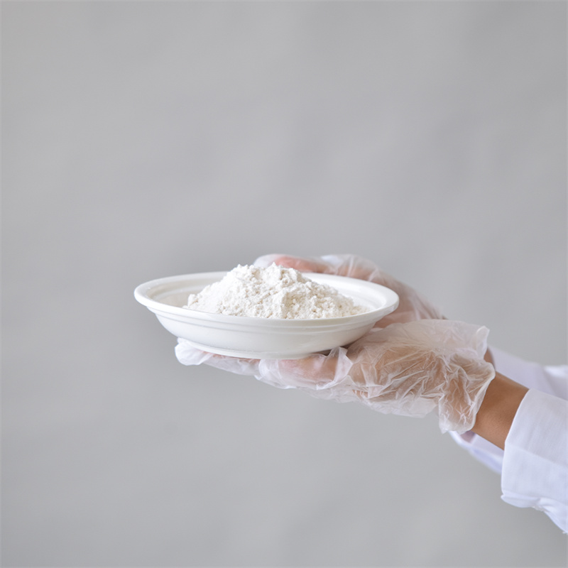 Adenosine 5’-triphosphate disodium salt CAS 987-65-5